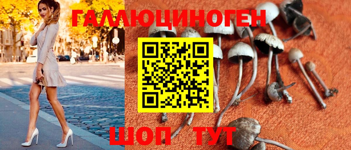 Псилоцибиновые грибы Psilocybine cubensis  Вход с VPN  Карачаевск  Псилоцибиновые грибы мицелий 