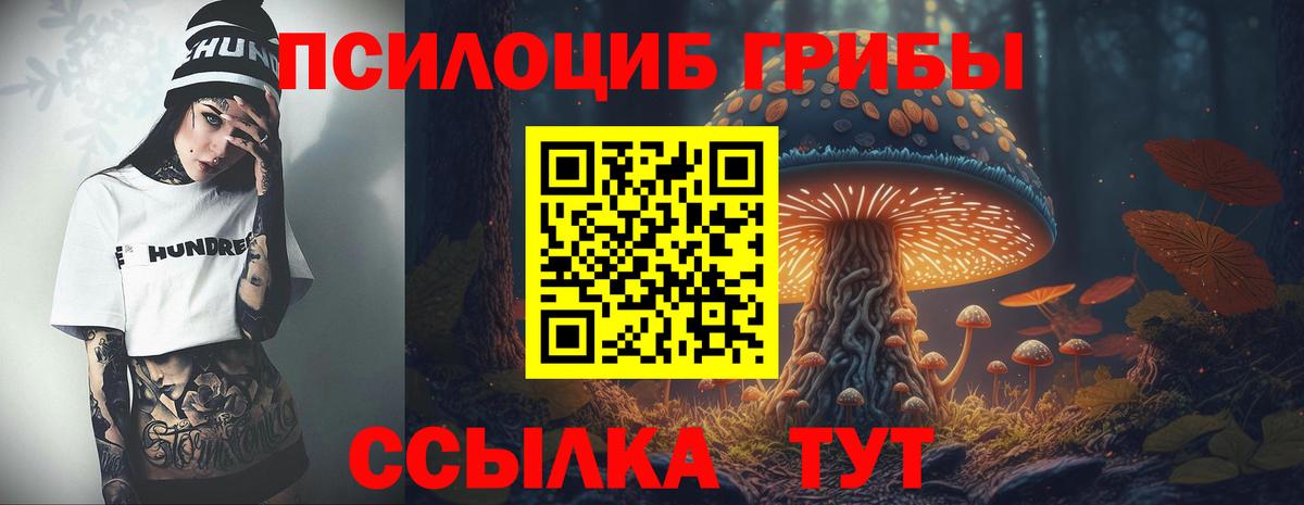 Галлюциногенные грибы Magic Shrooms Карачаевск